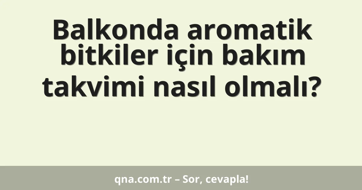 Balkonda aromatik bitkiler için bakım takvimi nasıl olmalı?