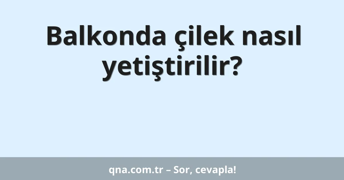 Balkonda çilek nasıl yetiştirilir?