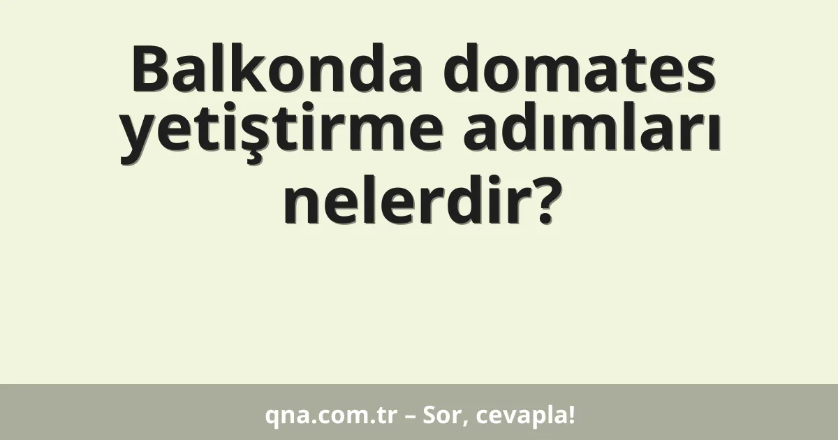Balkonda domates yetiştirme adımları nelerdir?
