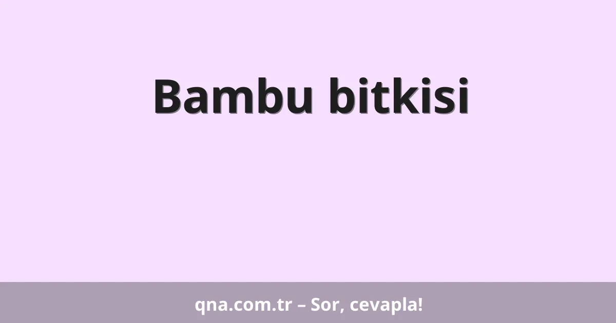 Bambu bitkisi