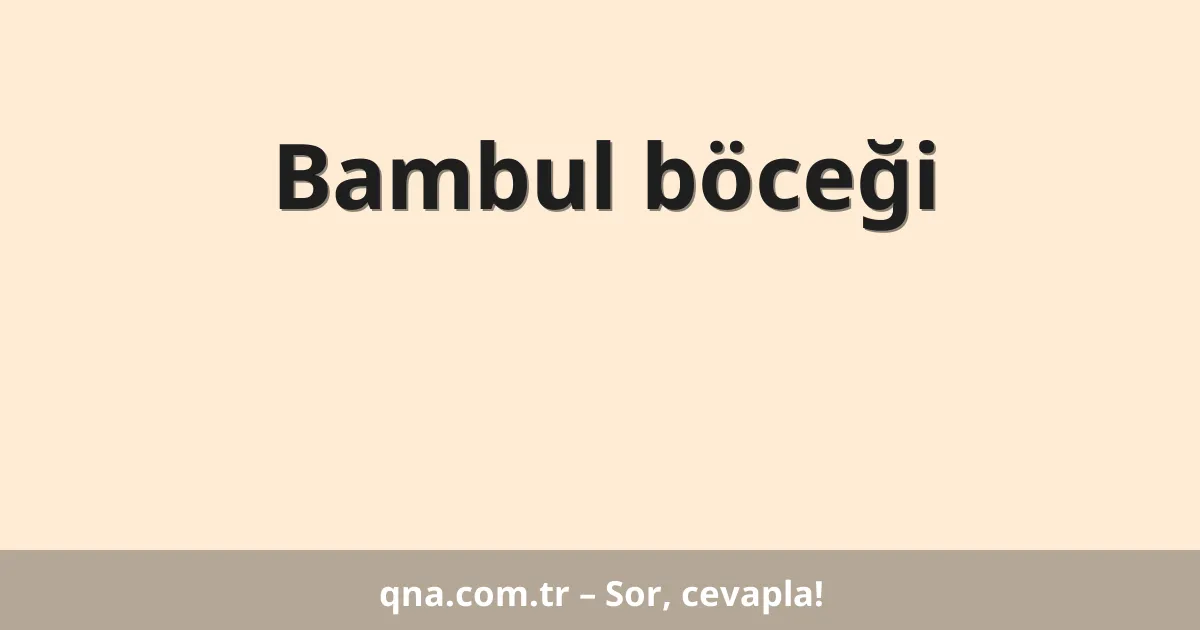 Bambul böceği