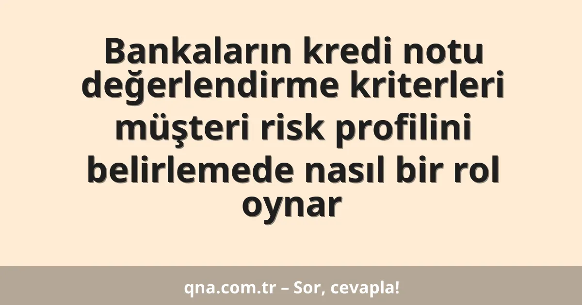 Bankaların kredi notu değerlendirme kriterleri müşteri risk profilini belirlemede nasıl bir rol oynar