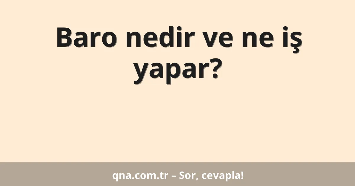 Baro nedir ve ne iş yapar?