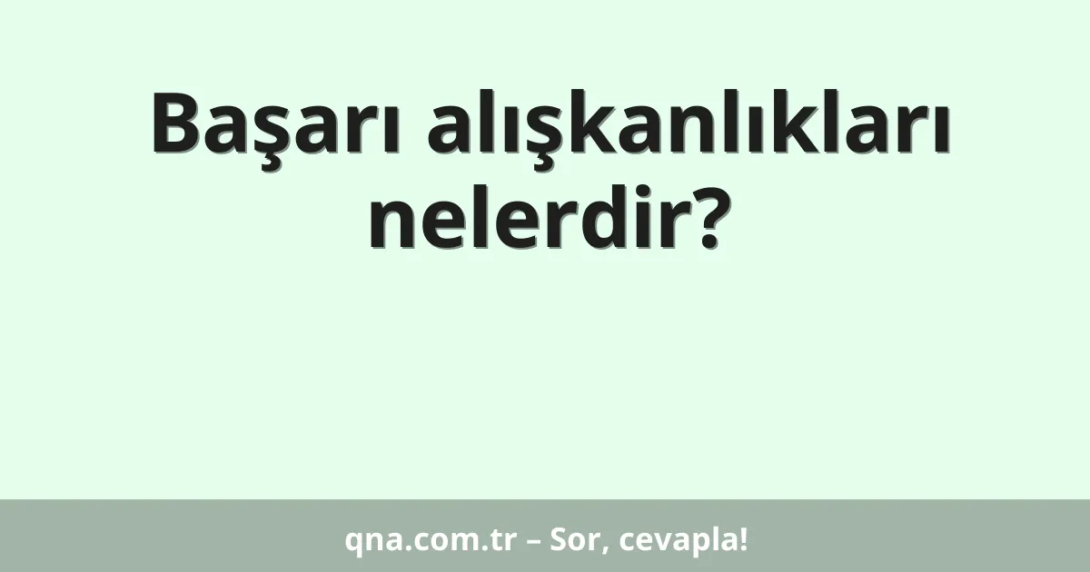 Başarı alışkanlıkları nelerdir?