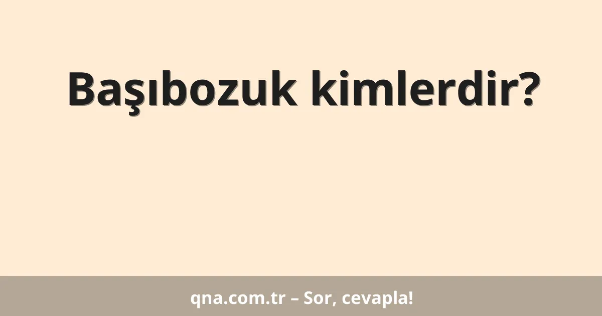 Başıbozuk kimlerdir?