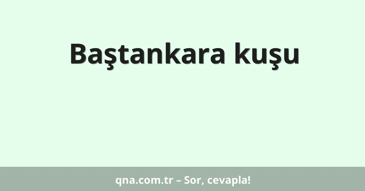 Baştankara kuşu