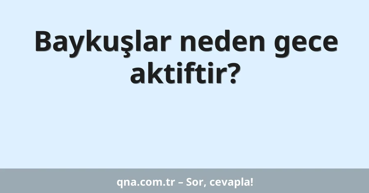 Baykuşlar neden gece aktiftir?