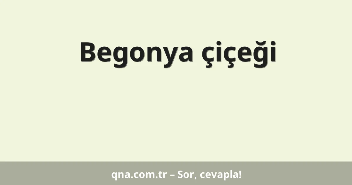 Begonya çiçeği