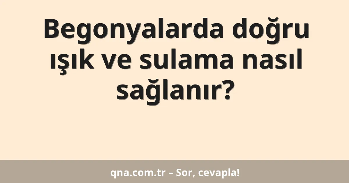 Begonyalarda doğru ışık ve sulama nasıl sağlanır?