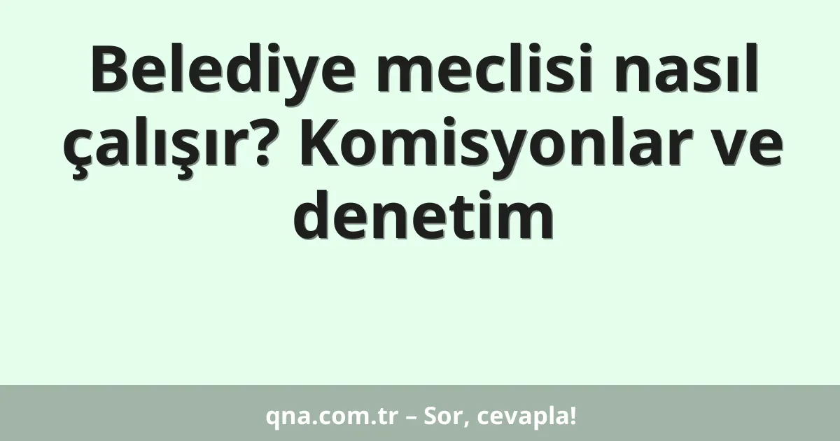 Belediye meclisi nasıl çalışır? Komisyonlar ve denetim