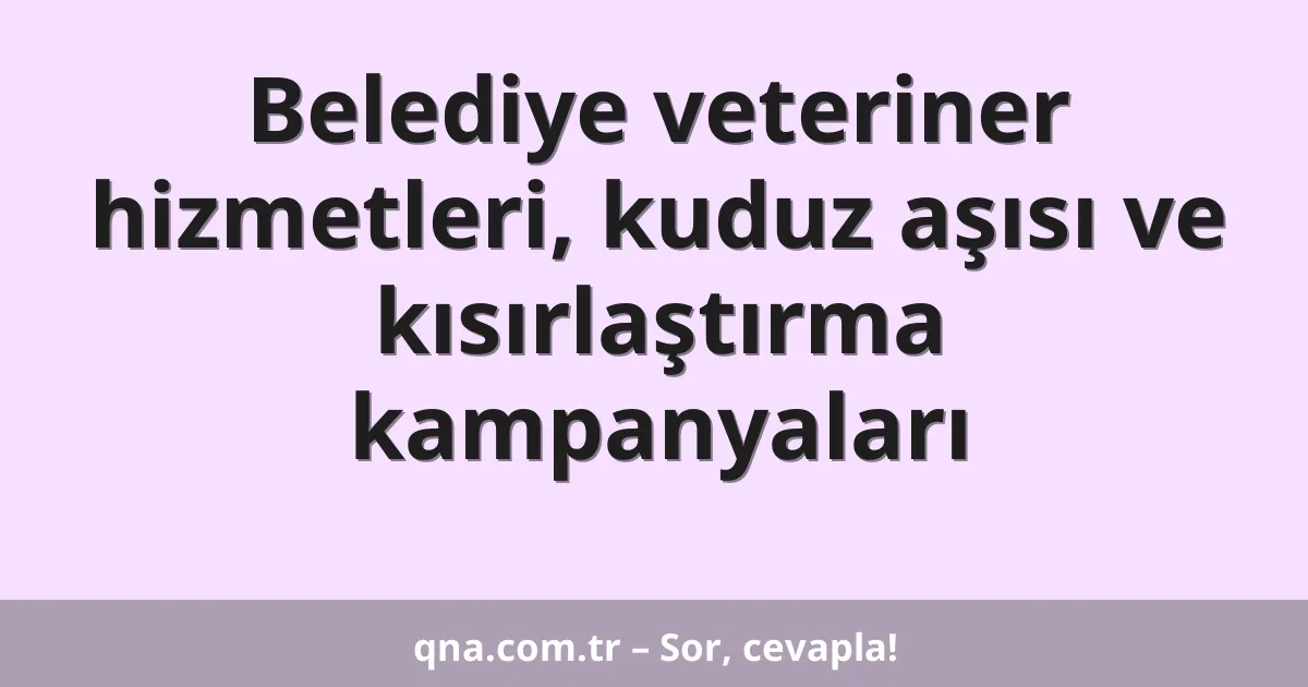 Belediye veteriner hizmetleri, kuduz aşısı ve kısırlaştırma kampanyaları