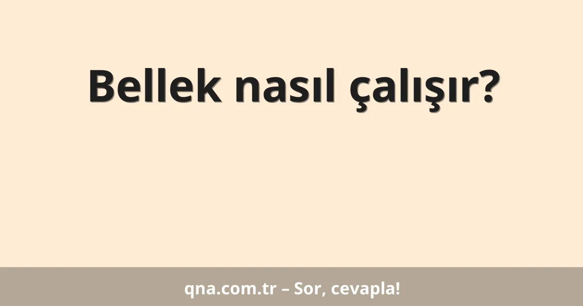 Bellek nasıl çalışır?