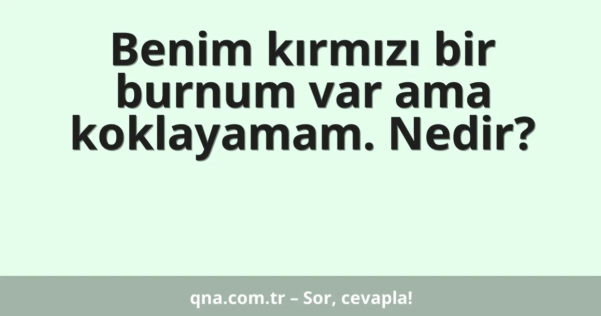 Benim kırmızı bir burnum var ama koklayamam. Nedir?