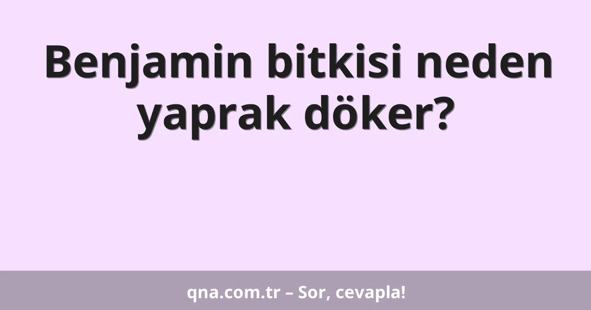 Benjamin bitkisi neden yaprak döker?