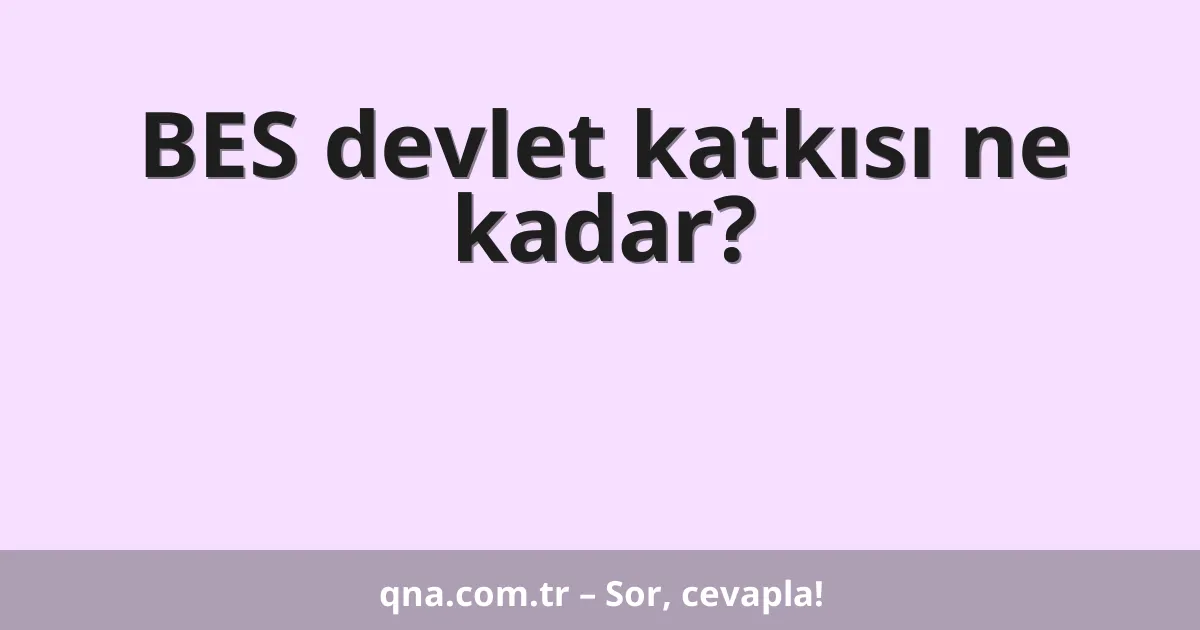 BES devlet katkısı ne kadar?