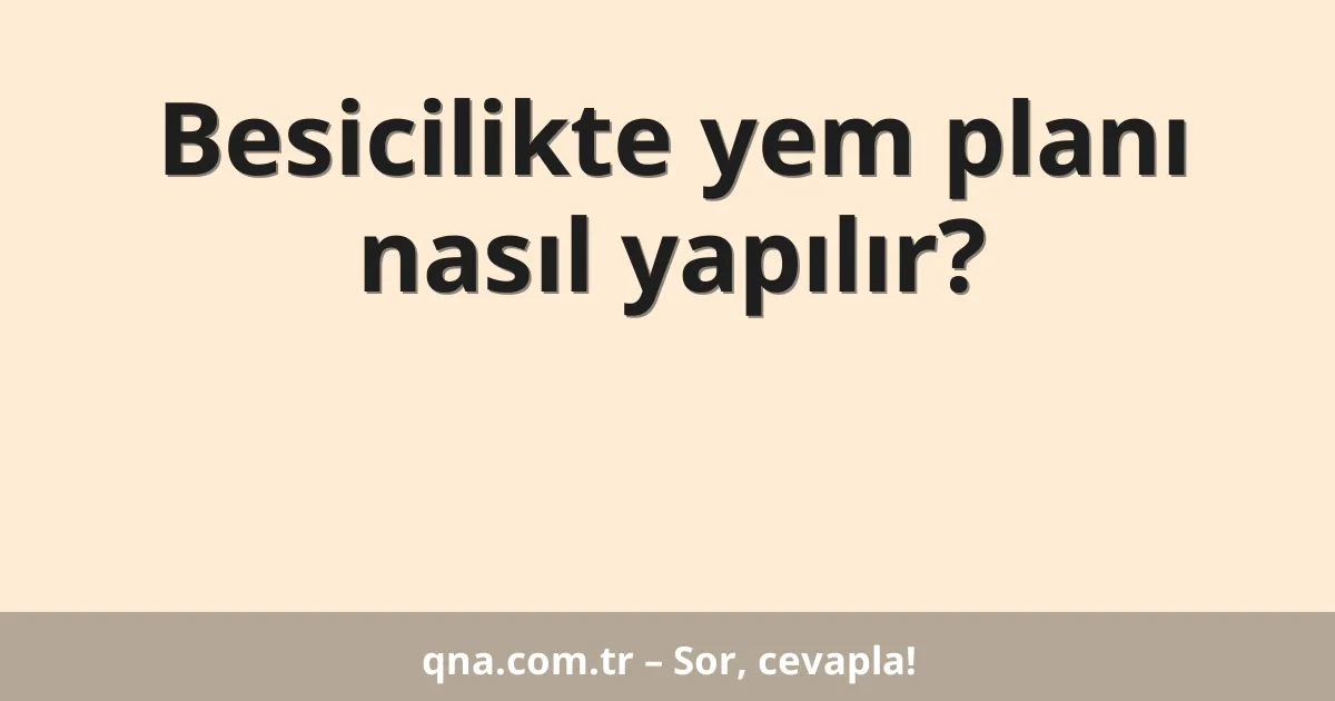 Besicilikte yem planı nasıl yapılır?