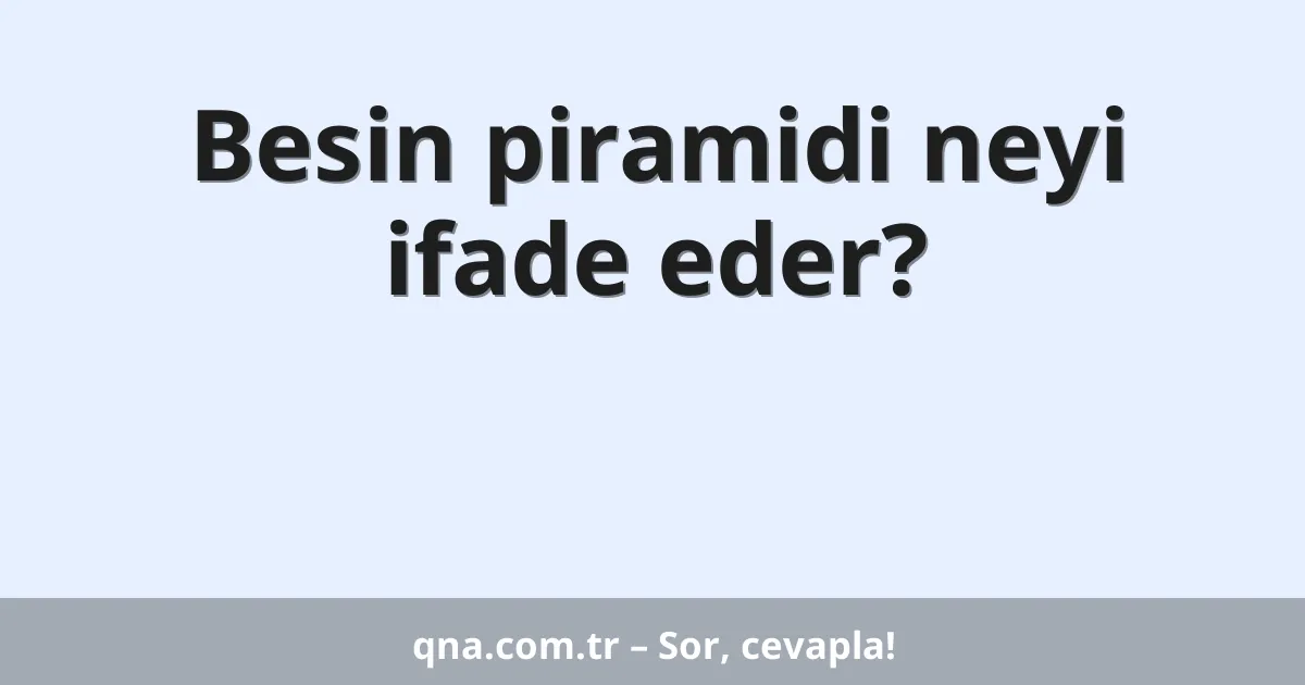 Besin piramidi neyi ifade eder?
