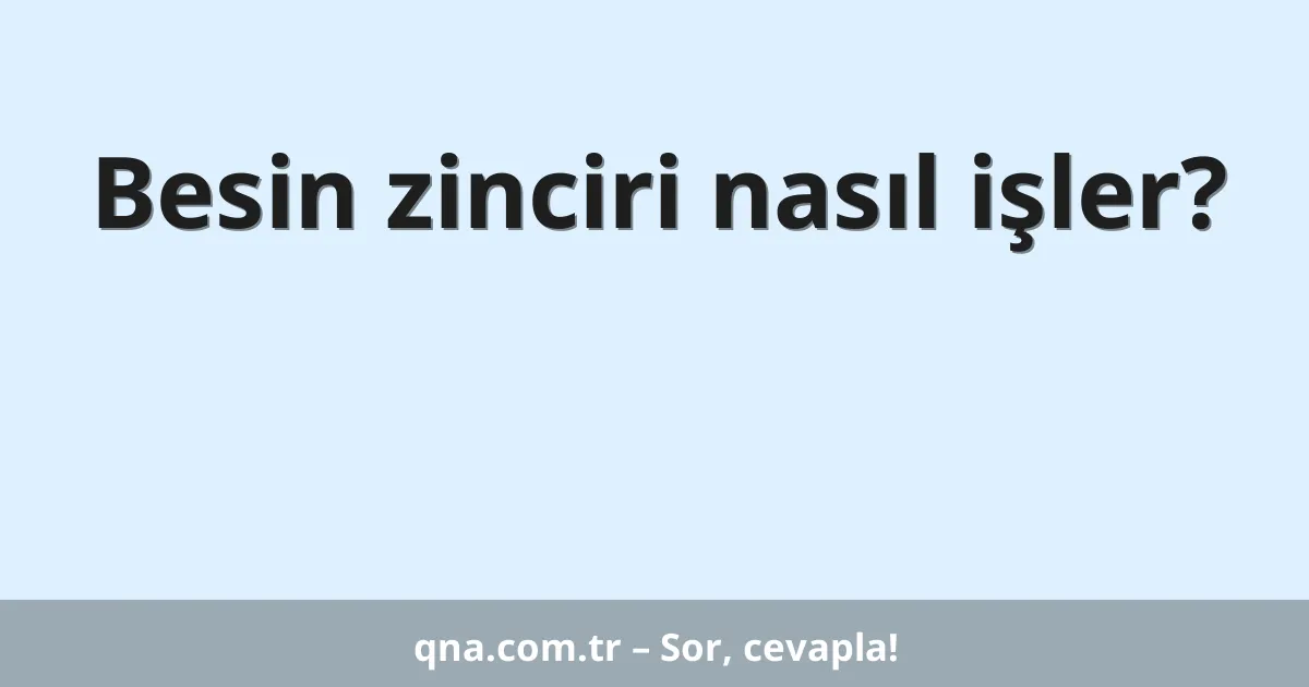 Besin zinciri nasıl işler?