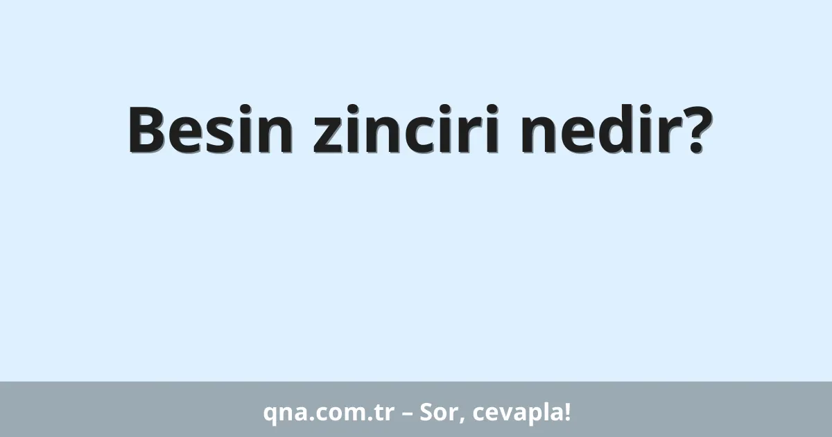 Besin zinciri nedir?