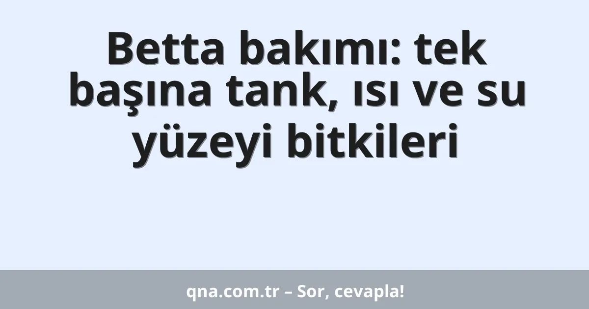Betta bakımı: tek başına tank, ısı ve su yüzeyi bitkileri