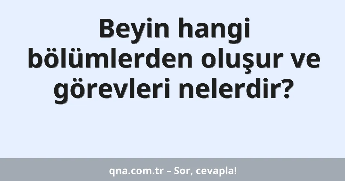 Beyin hangi bölümlerden oluşur ve görevleri nelerdir?