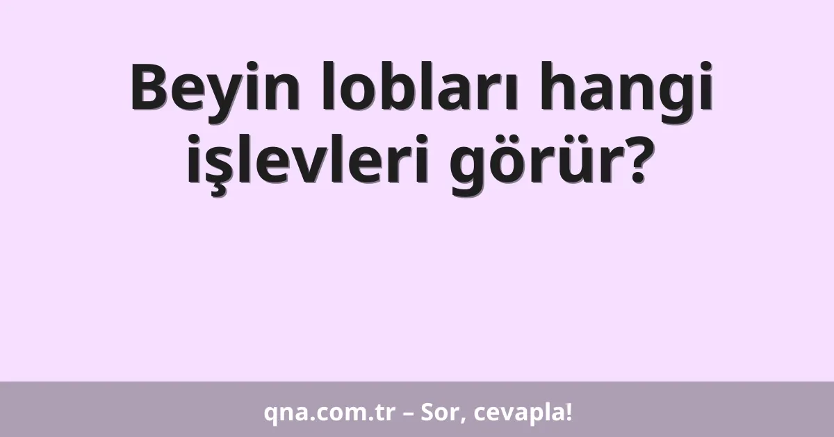 Beyin lobları hangi işlevleri görür?