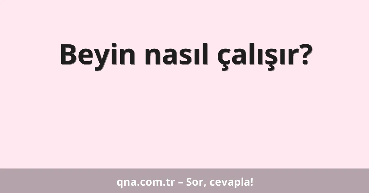 Beyin nasıl çalışır?
