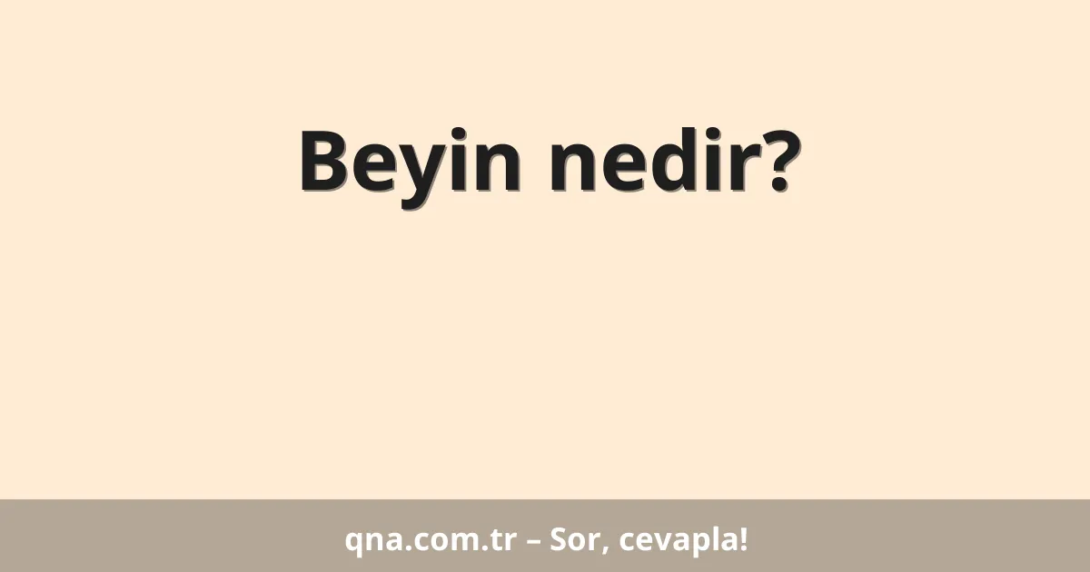 Beyin nedir?