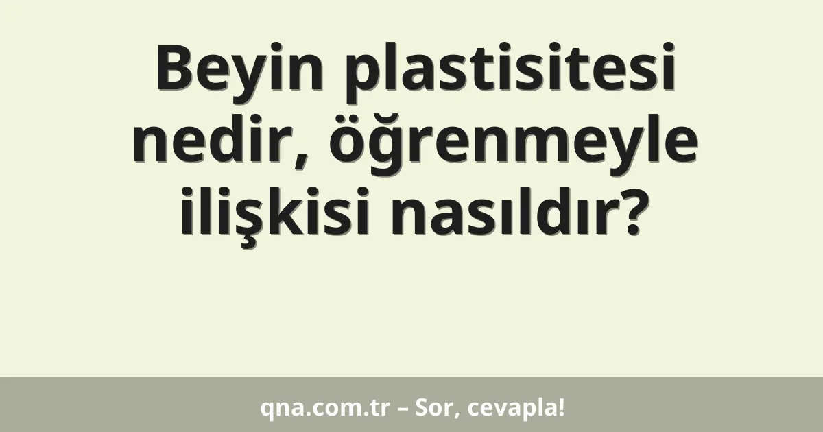 Beyin plastisitesi nedir, öğrenmeyle ilişkisi nasıldır?