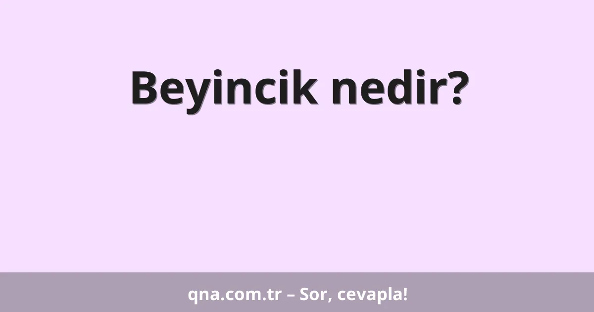Beyincik nedir?