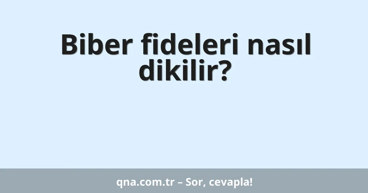 Biber fideleri nasıl dikilir?