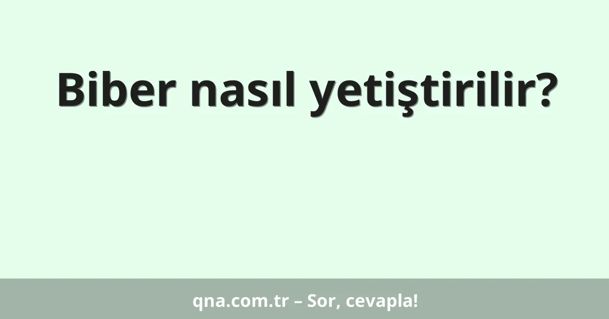 Biber nasıl yetiştirilir?