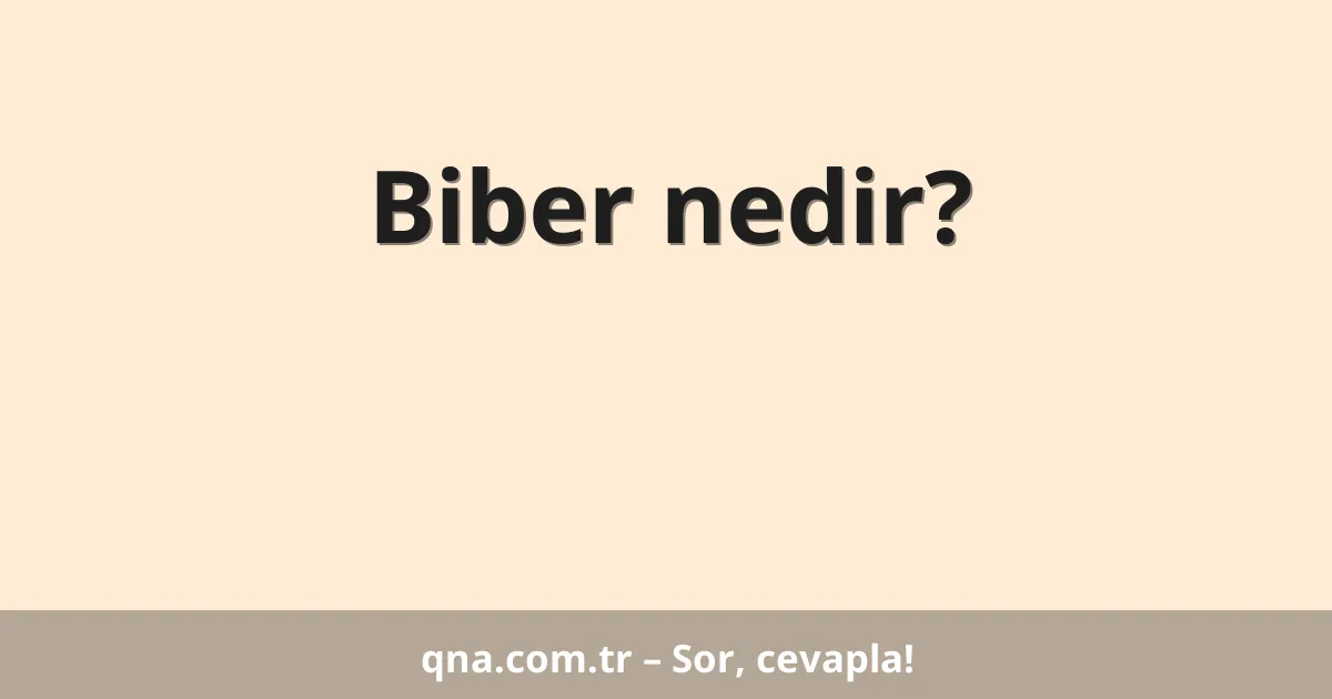 Biber nedir?