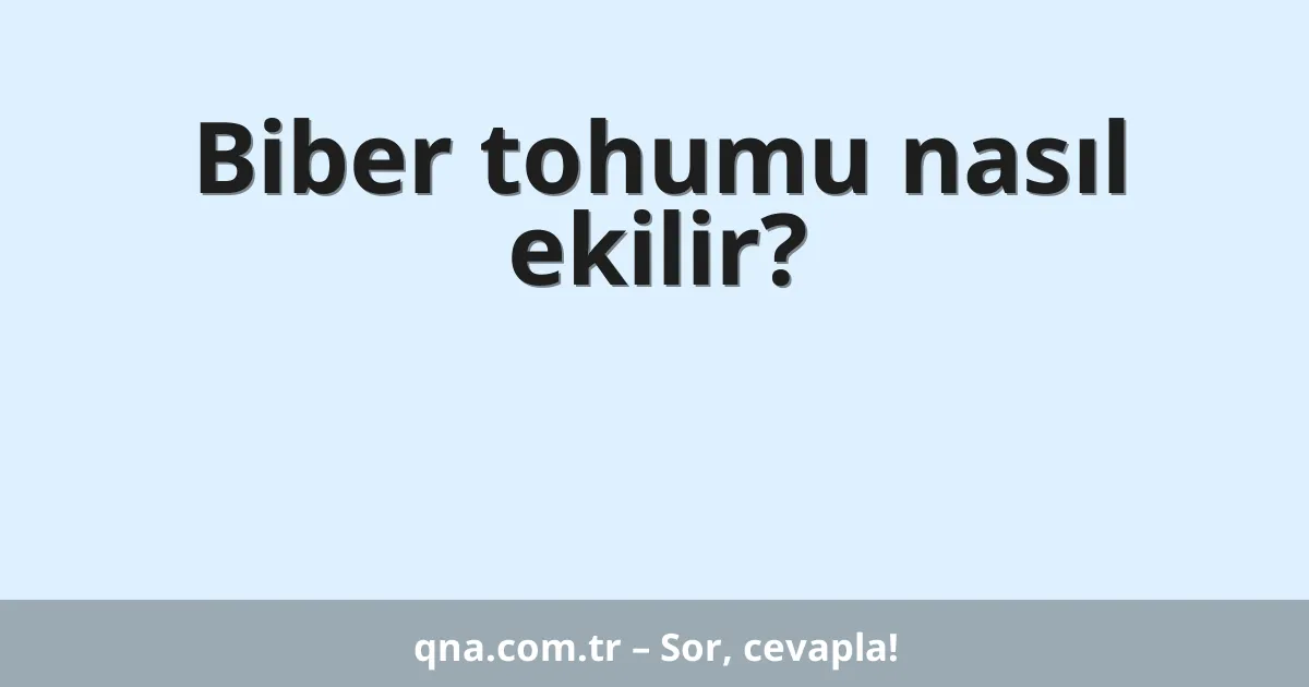 Biber tohumu nasıl ekilir?