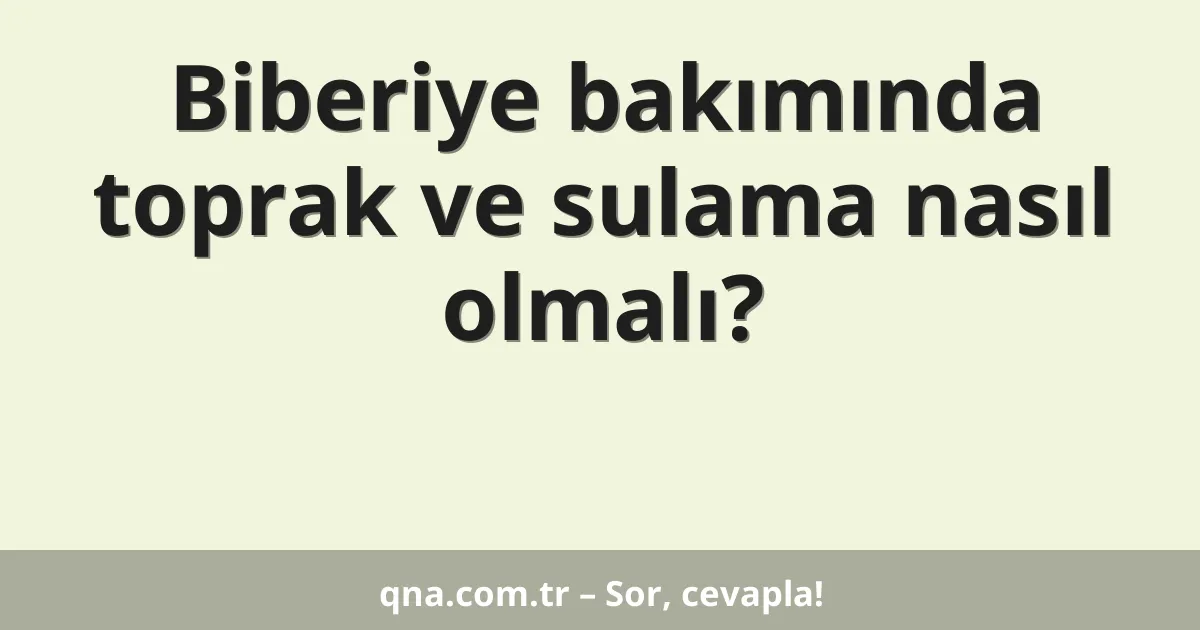 Biberiye bakımında toprak ve sulama nasıl olmalı?