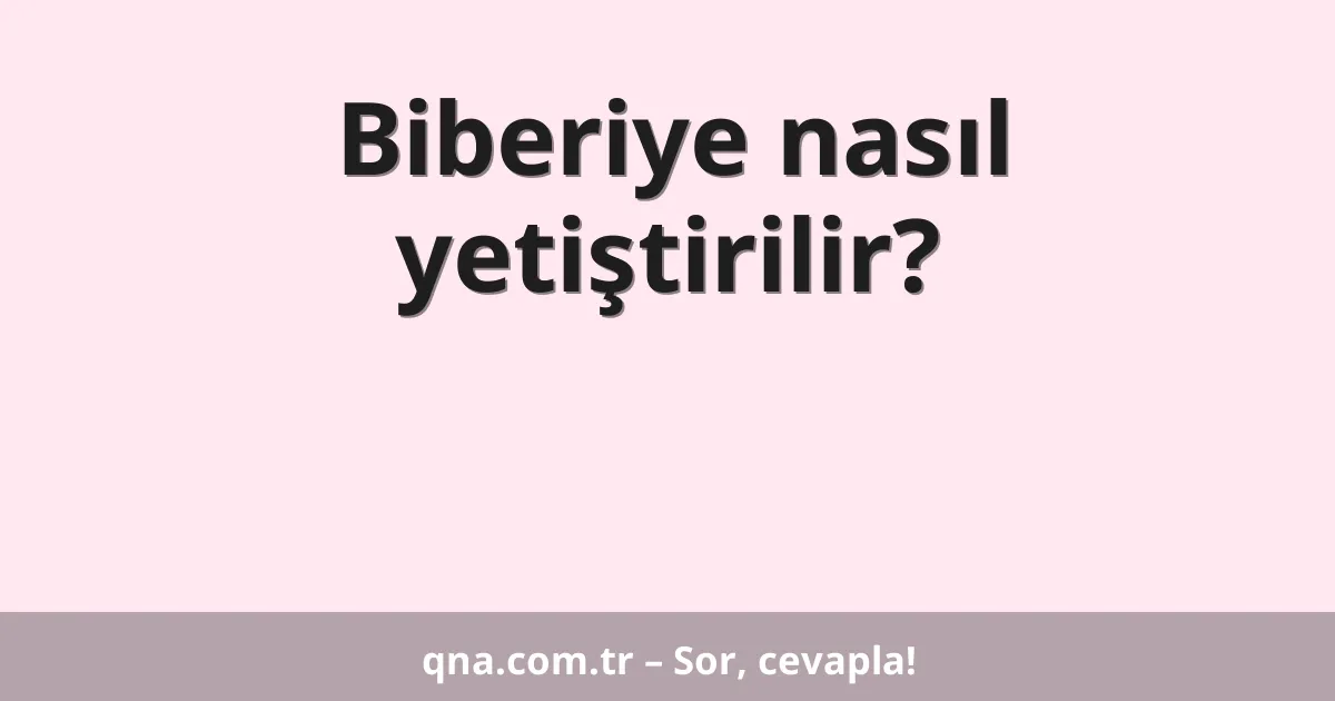 Biberiye nasıl yetiştirilir?