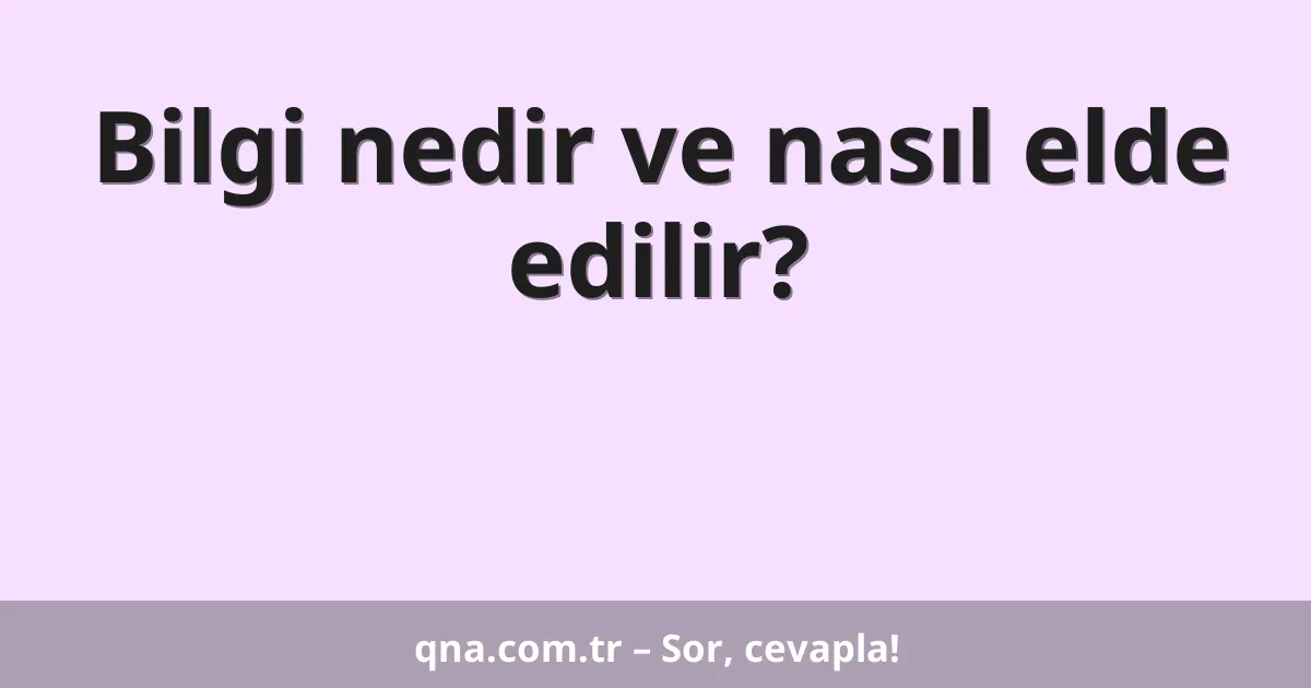 Bilgi nedir ve nasıl elde edilir?