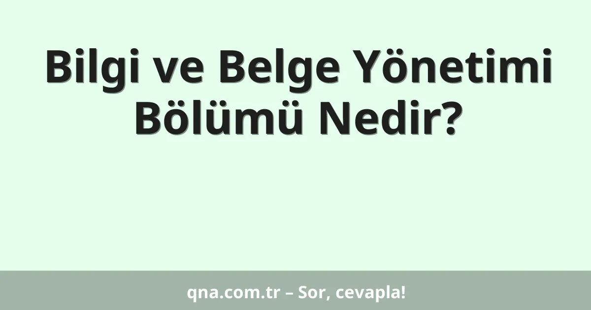 Bilgi ve Belge Yönetimi Bölümü Nedir?