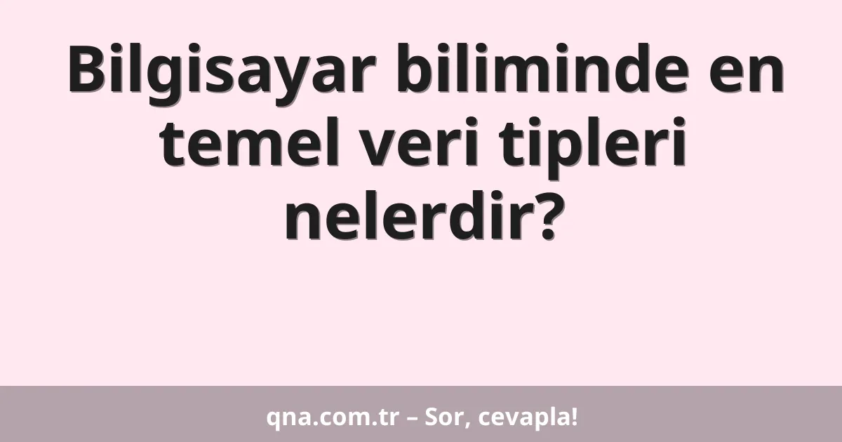 Bilgisayar biliminde en temel veri tipleri nelerdir?