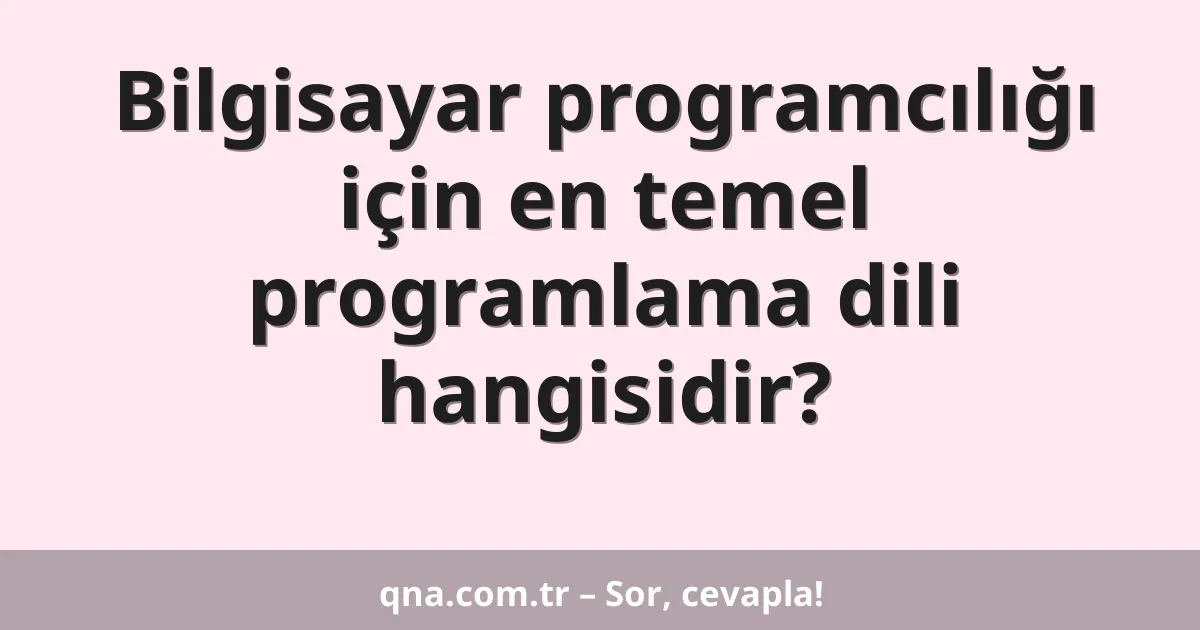 Bilgisayar programcılığı için en temel programlama dili hangisidir?
