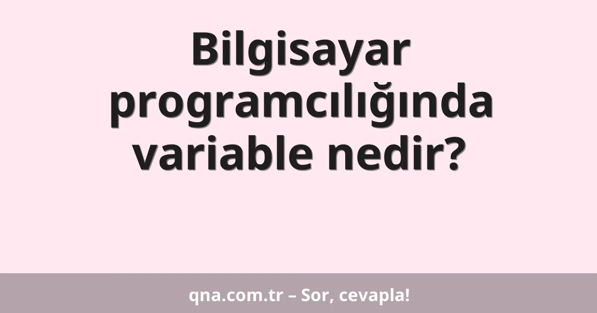 Bilgisayar programcılığında variable nedir?