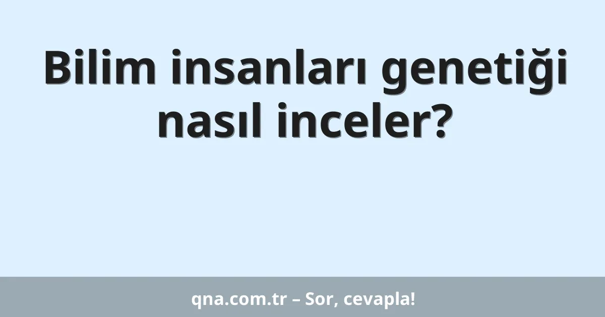 Bilim insanları genetiği nasıl inceler?