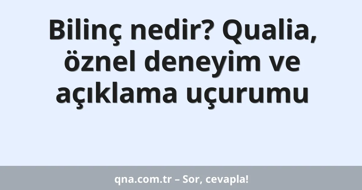 Bilinç nedir? Qualia, öznel deneyim ve açıklama uçurumu