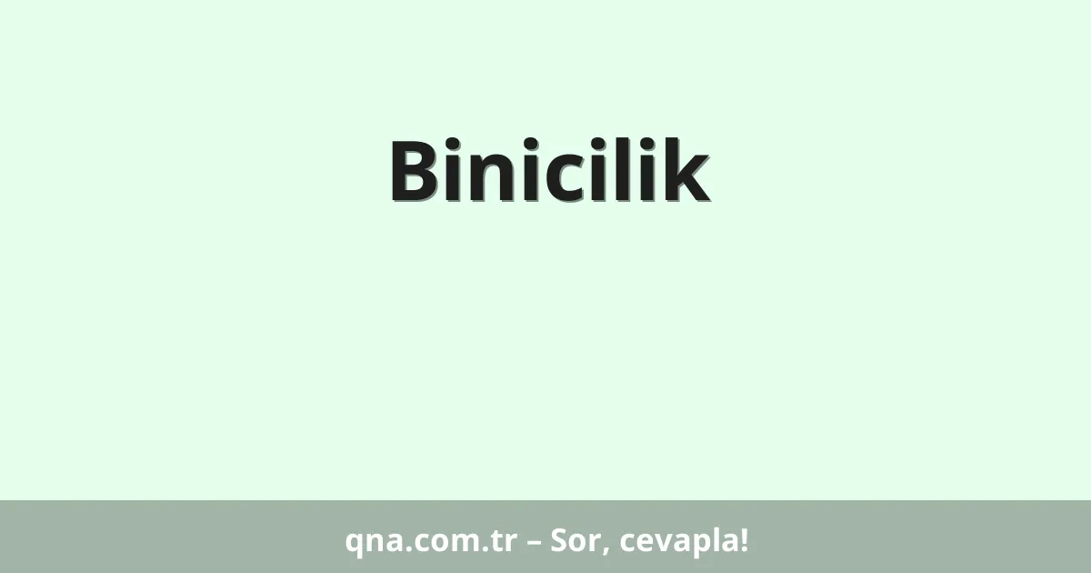 Binicilik