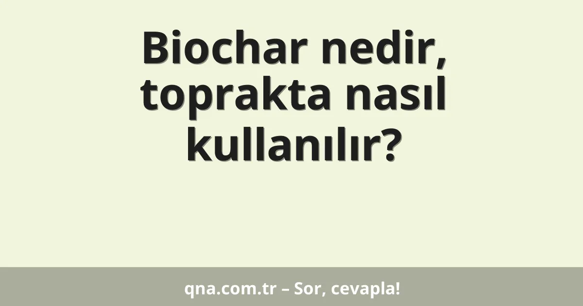 Biochar nedir, toprakta nasıl kullanılır?