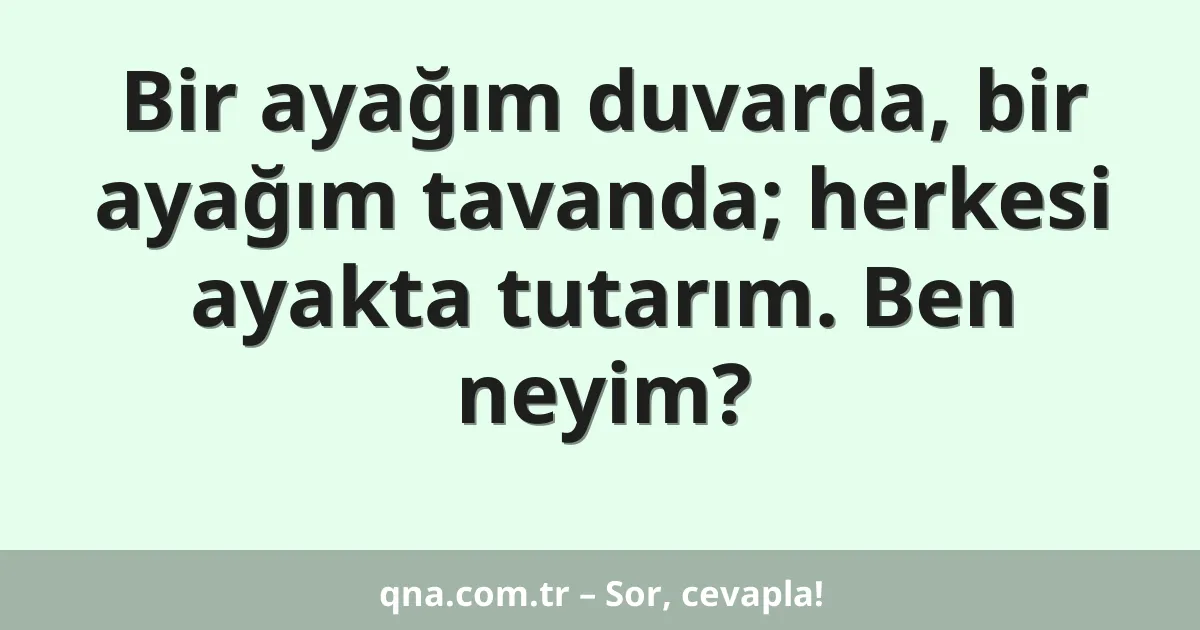 Bir ayağım duvarda, bir ayağım tavanda; herkesi ayakta tutarım. Ben neyim?