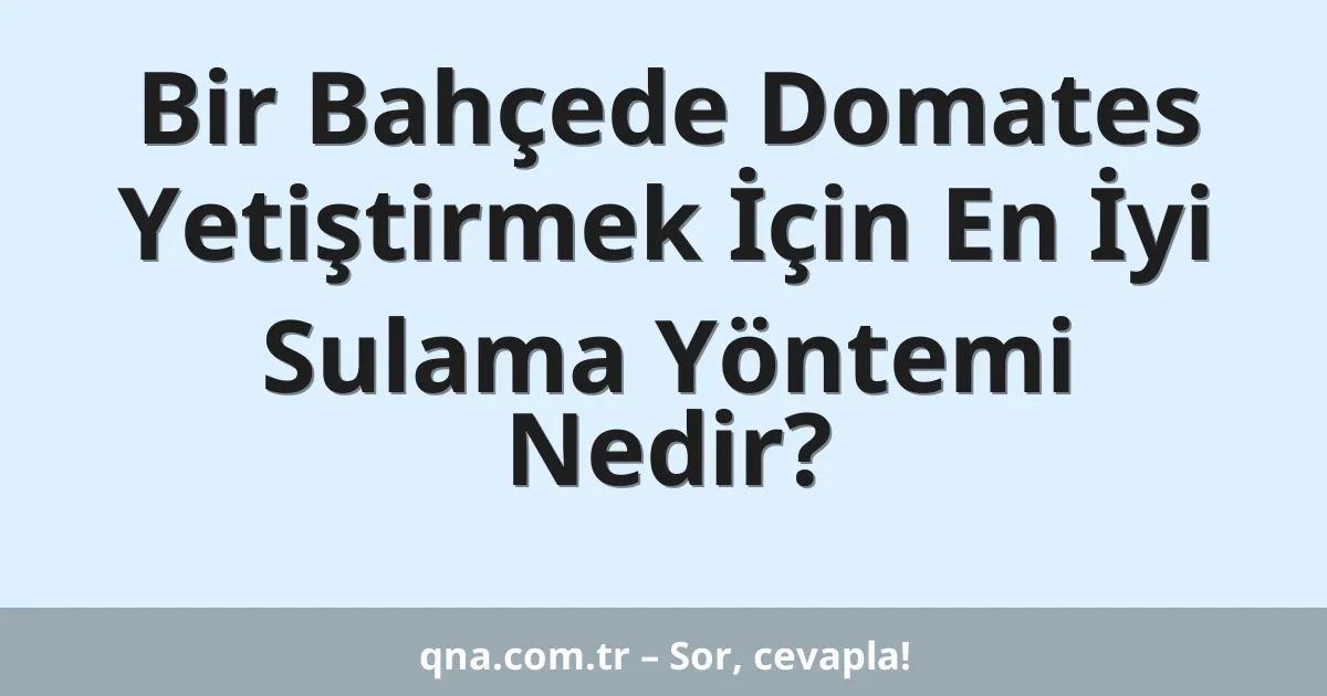 Bir Bahçede Domates Yetiştirmek İçin En İyi Sulama Yöntemi Nedir?