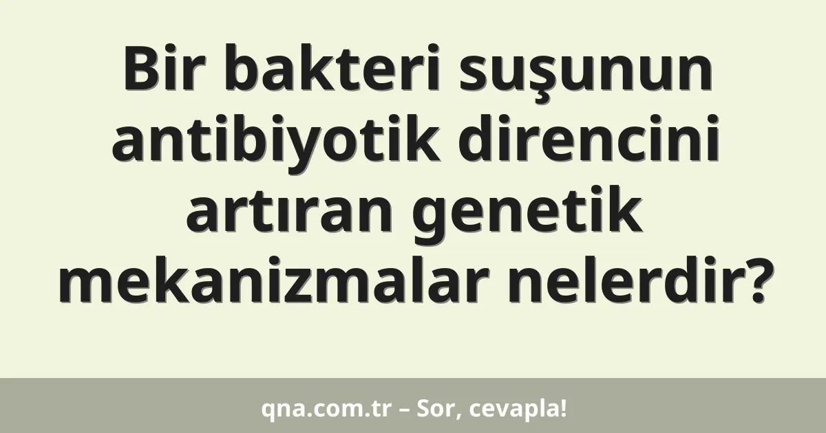 Bir bakteri suşunun antibiyotik direncini artıran genetik mekanizmalar nelerdir?