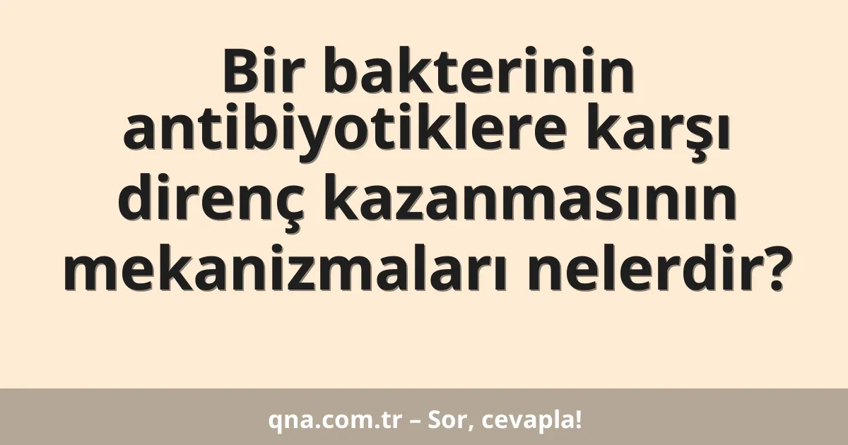 Bir bakterinin antibiyotiklere karşı direnç kazanmasının mekanizmaları nelerdir?