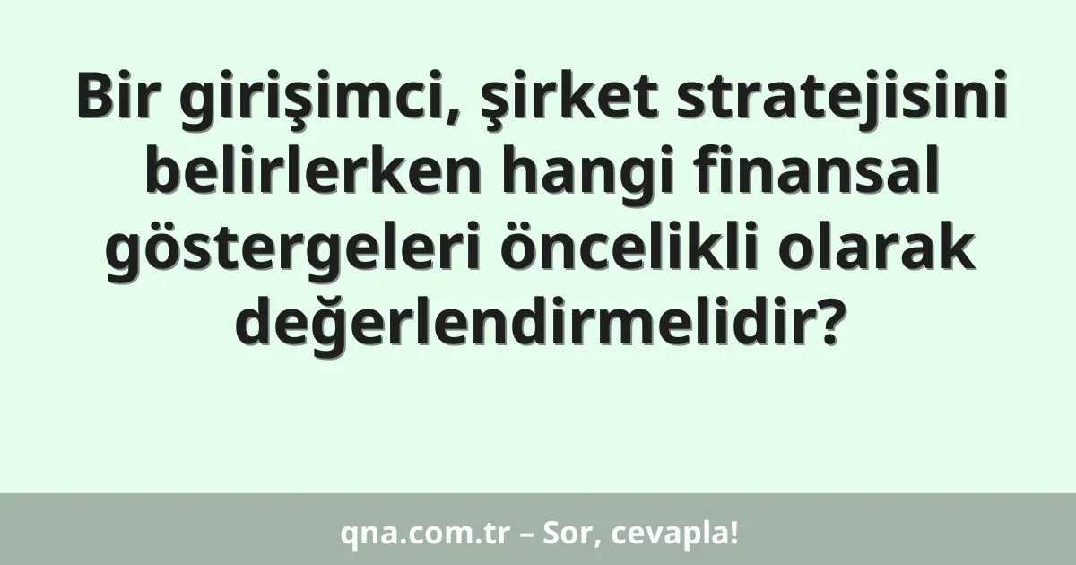 Bir girişimci, şirket stratejisini belirlerken hangi finansal göstergeleri öncelikli olarak değerlendirmelidir?